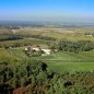 Domaine de la Solitude 2020 - Pessac Léognan