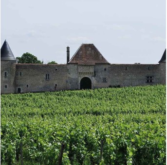 Château d'Eck 2021 - Pessac Léognan