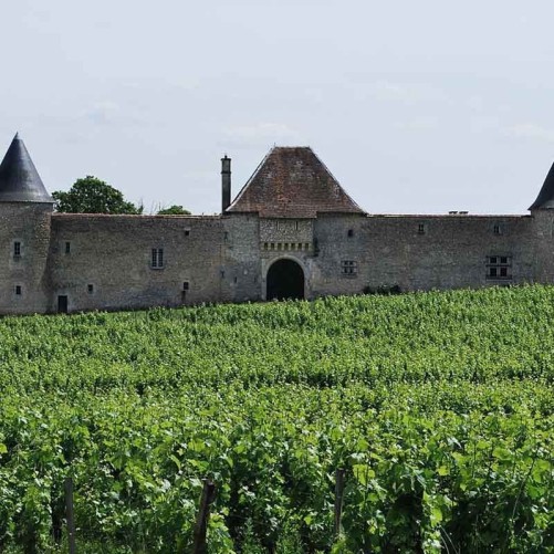 Château d'Eck 2021 - Pessac Léognan
