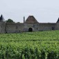 Château d'Eck 2021 - Pessac Léognan Château d'Eck 2021 - Pessac Léognan