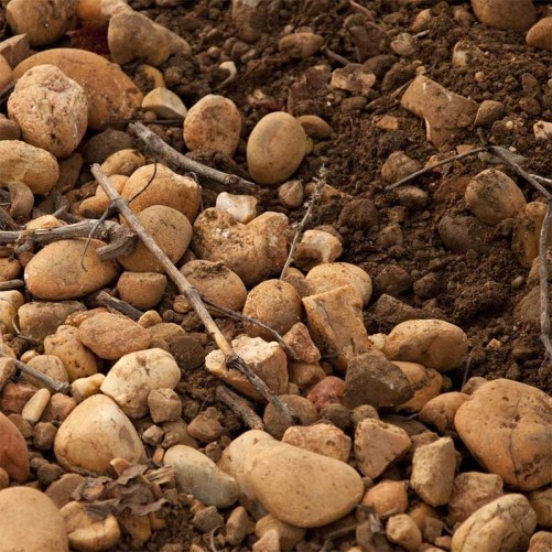 Terre des Chardons "Marginal" Costières de Nimes  2023