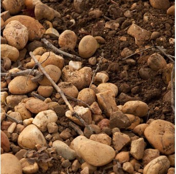 Domaine Terre des Chardons Rosé 2024 Costieres de Nimes