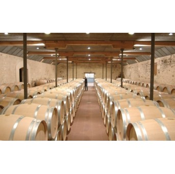 Château Teynac 2018 Saint Julien