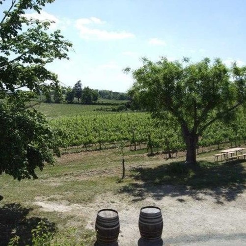 Le Sang du Christ Rouge 2020 – Château Lagrange, Cadillac-Côtes de Bordeaux bio