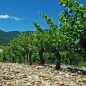 Domaine du Serre des Vignes - Les Grands Plans 2023 Grignan Domaine du Serre des Vignes - Les Grands Plans 2023 Grignan