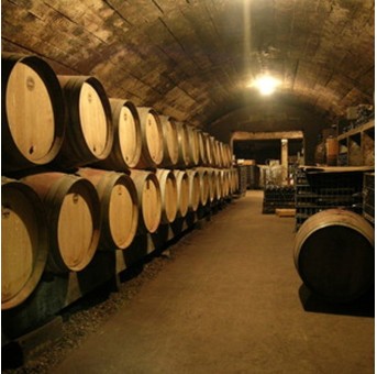 Domaine de la Marinière 2023 - Chinon