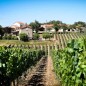 Château Combel-la-Serre - Le Pur Fruit du Causse 2022 Cahors Château Combel-la-Serre - Le Pur Fruit du Causse 2022 Cahors