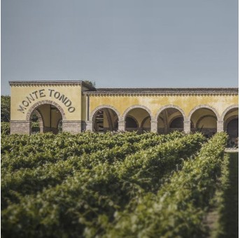 Monte Tondo - Mito Soave 2024  Italie