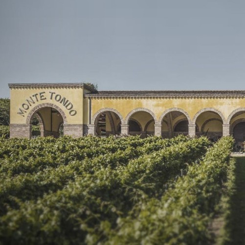 Monte Tondo - Mito Soave 2024  Italie
