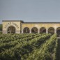 Monte Tondo - Mito Soave 2024 Italie Monte Tondo - Mito Soave 2024 Italie