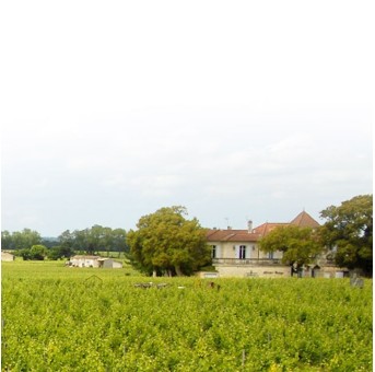 Pom'N Roll Château Gombaude Guillot 2020