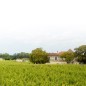 Pom'N Roll Château Gombaude Guillot 2020 Pom'N Roll Château Gombaude Guillot 2020