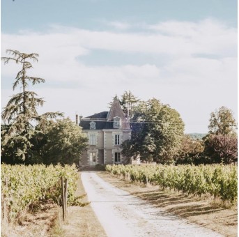 Château Grand Renouil 2016 - Canon Fronsac