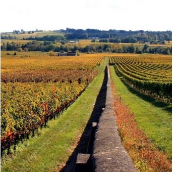Château Ame de Musset - Les Caprices 2014 - Lalande de Pomerol