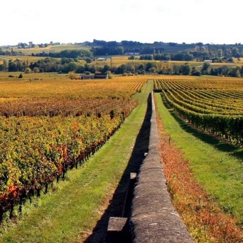 Château Ame de Musset - Les Caprices 2014 - Lalande de Pomerol