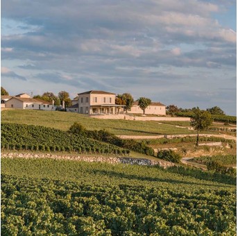 Château Tour Saint Christophe domaine