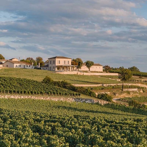 Les Terrasses de Saint Christophe 2022 - Saint Emilion Grand Cru