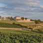 Les Terrasses de Saint Christophe 2021 - Saint Emilion Grand Cru Les Terrasses de Saint Christophe 2021 - Saint Emilion Grand Cru