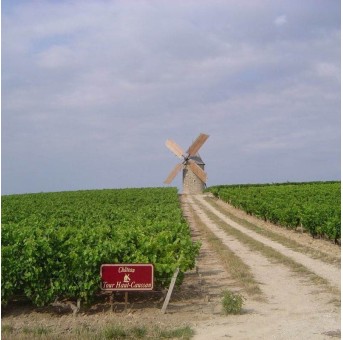 Château Tour Haut Caussan vignoble et moulin