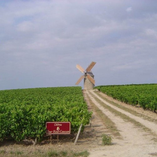 Château La Landotte 2020 - Médoc