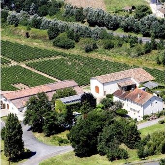 Château Penin vignoble