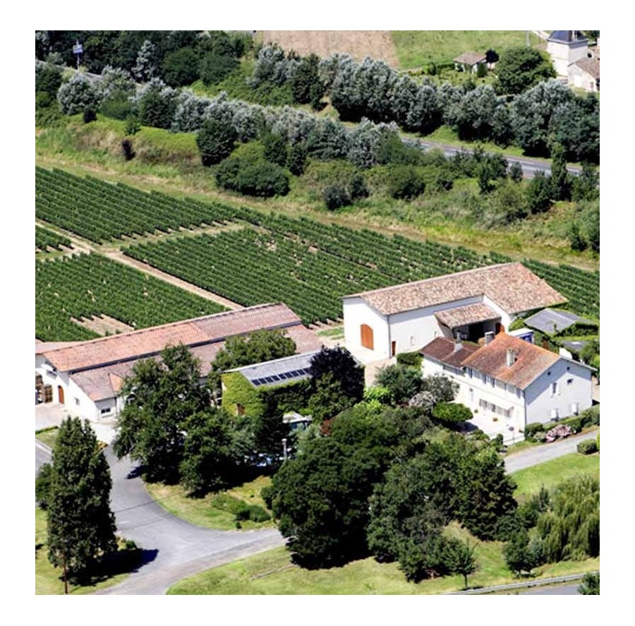vue du vin Château Penin Tradition
