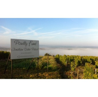 Jonathan Didier Pabiot - Elisa 2023 - Pouilly Fumé