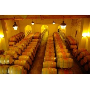 Château Roland la Garde - Tradition 2020- Blaye Côtes de Bordeaux