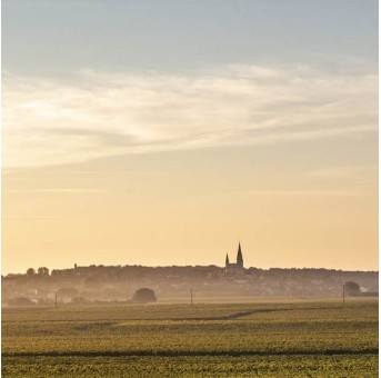 Domaine du Vieux Pressoir vignoble