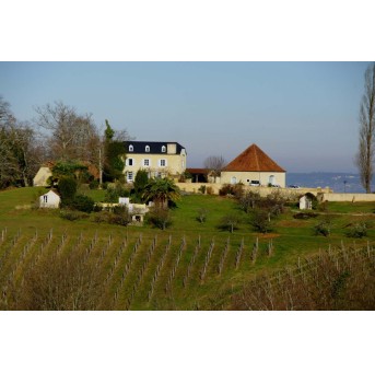 Domaine Vignau La Juscle vendange tardive 2020- Jurançon doux