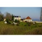 Domaine Vignau La Juscle vendange tardive 2020- Jurançon doux Domaine Vignau La Juscle vendange tardive 2020- Jurançon doux