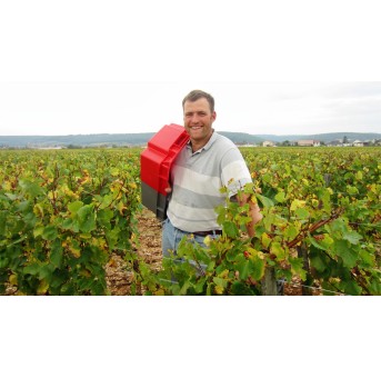 Jean Fournier " Le Chapitre " Marsannay 2022