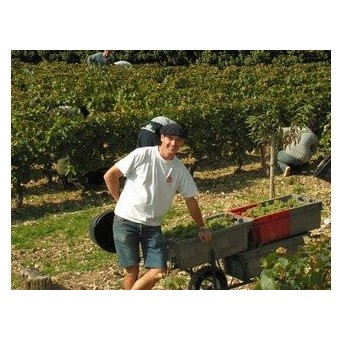 Domaine Bouzereau - Côteaux Bourguignons Rouge 2021