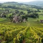 Domaine Dupasquier Mondeuse 2019 - Vin de Savoie Domaine Dupasquier Mondeuse 2019 - Vin de Savoie