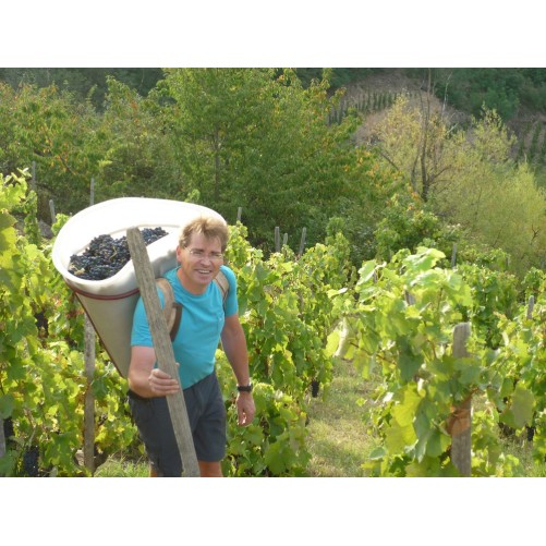 Domaine Mucyn Les Entrecoeurs 2022 - Crozes Hermitage