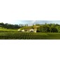 M de Mangot - Bordeaux Rosé- 2023 M de Mangot - Bordeaux Rosé- 2023