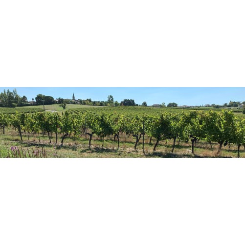 Chateau Daviaud 2022 - Bordeaux rouge