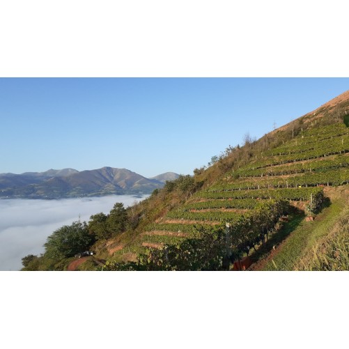 Domaine Etxondoa - Xut 2023 -Irouleguy Rouge