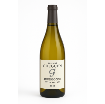 Domaine Gueguen – Bourgogne Côtes Salines 2024