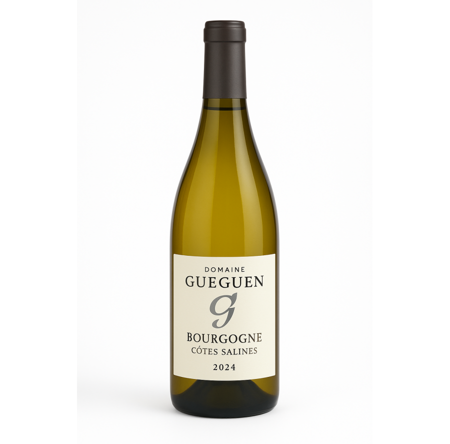 Domaine Céline & Frédéric Gueguen – Bourgogne Côtes Salines 2024 Domaine Céline & Frédéric Gueguen – Bourgogne Côtes Salines 2024