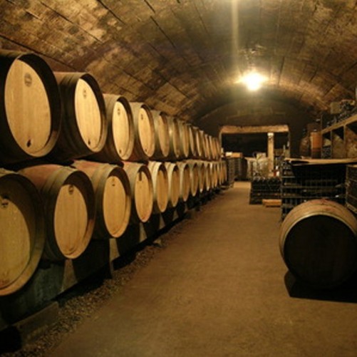 La peau de l'ours - Domaine de la Marinière 2023 - Chinon