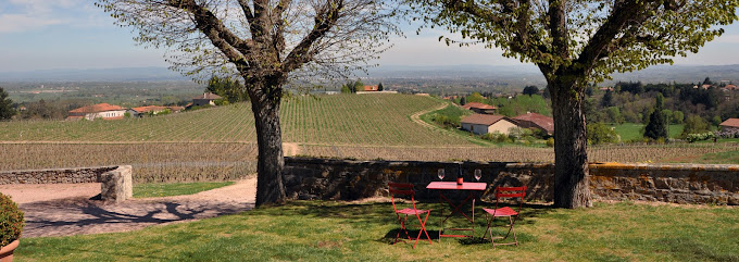 Domaine Sérol : vins de granit de la Côte Roannaise