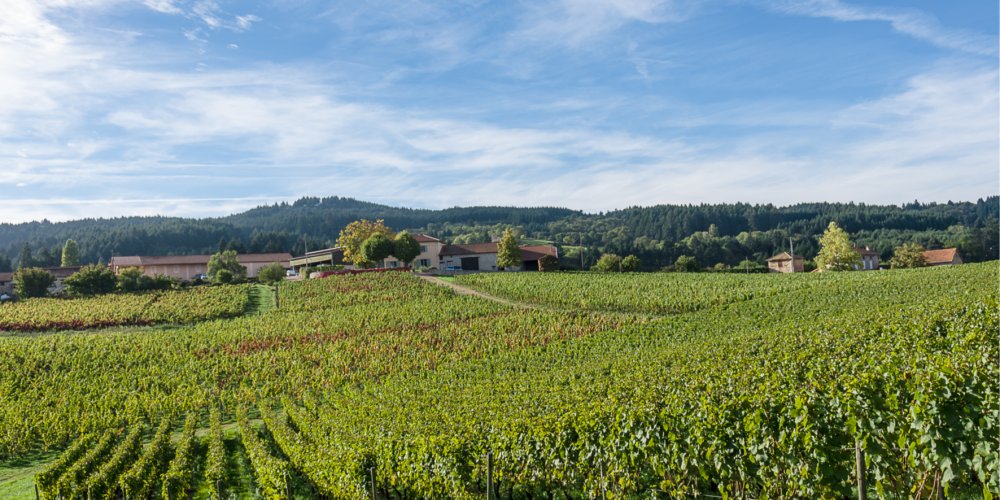 Domaine Serol