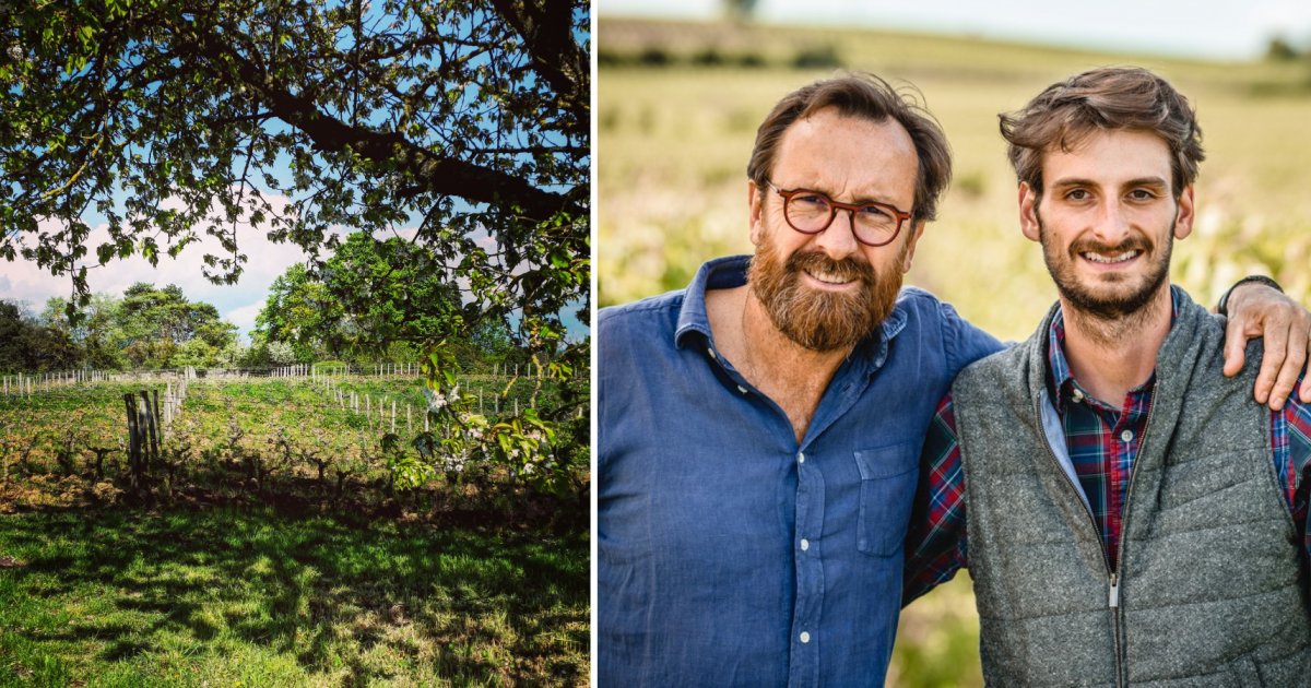 Domaine Thierry Germain - Les roches Neuves : L'élégance bio de la Loire en bouteilles