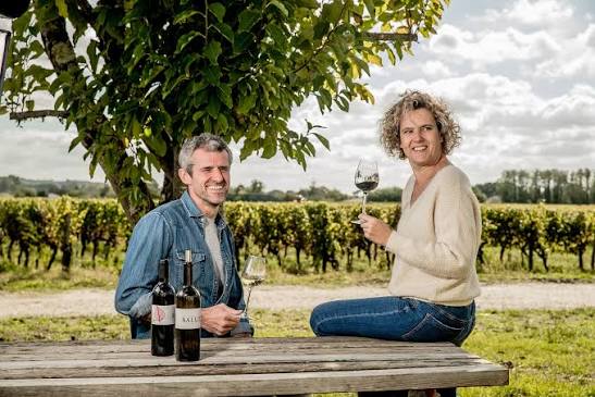 Domaine du Salut en Graves : Un vignoble au cœur de Bordeaux